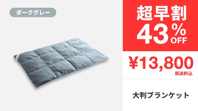 遠赤外線コスモダウンコア 宇宙服素材遠赤外線エアロゲル掛け布団シングルブラウン 3年連続1億円】真冬でも1枚でOK。宇宙服素材×遠赤外線
