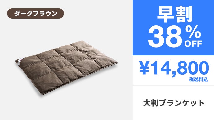 遠赤外線コスモダウンコア 宇宙服素材遠赤外線エアロゲル掛け布団シングルブラウン 3年連続1億円】真冬でも1枚でOK。宇宙服素材×遠赤外線