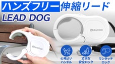 両手が自由に！手軽なワンタッチ！ワンタッチ伸縮リード【LEAD DOG】