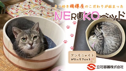 猫のための職人技、癒しの丸みNERUKOベッド｜マクアケ - アタラシイ