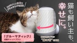 猫の自然なブラシ“猫の舌”を再現した全自動ブラシ。猫も飼い主も快適な