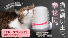 猫の自然なブラシ&ldquo;猫の舌&rdquo;を再現した全自動ブラシ。猫も飼い主も快適なケア体験を