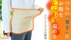 〈寒さ対策はお腹から〉着けた瞬間じんわりフィットして温める。ベビーアルパカ腹巻