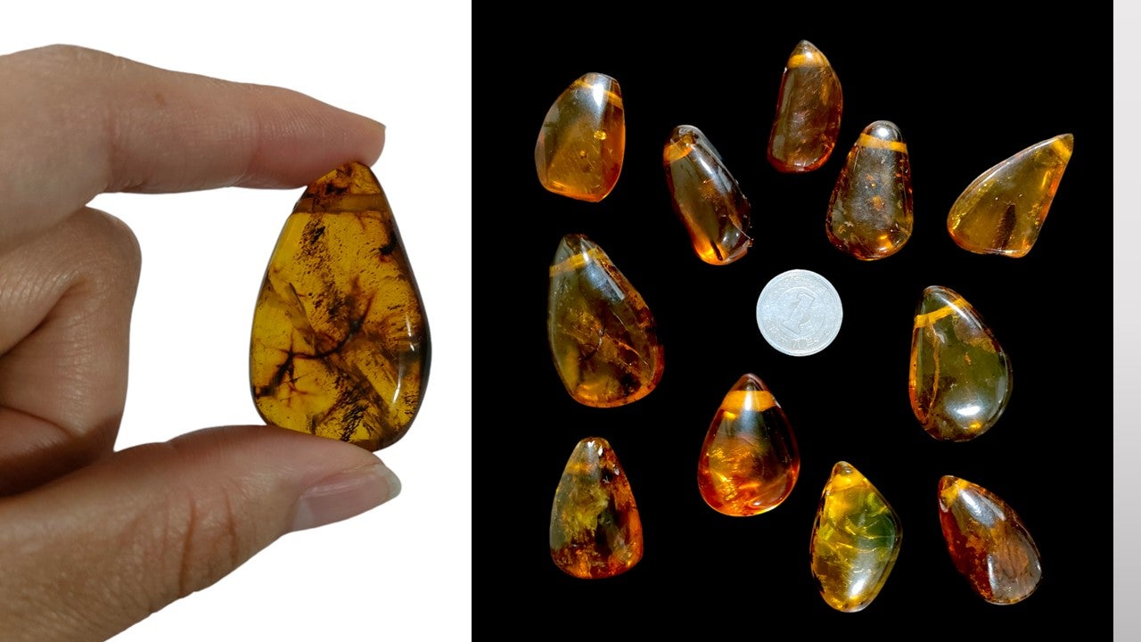 太古のかけらを閉じ込めた琥珀と人類との最古の歴史をもつラピスラズリ