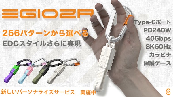256通り組み合わせPD240W 40Gbps対応  ユニークな「EGIOZR」