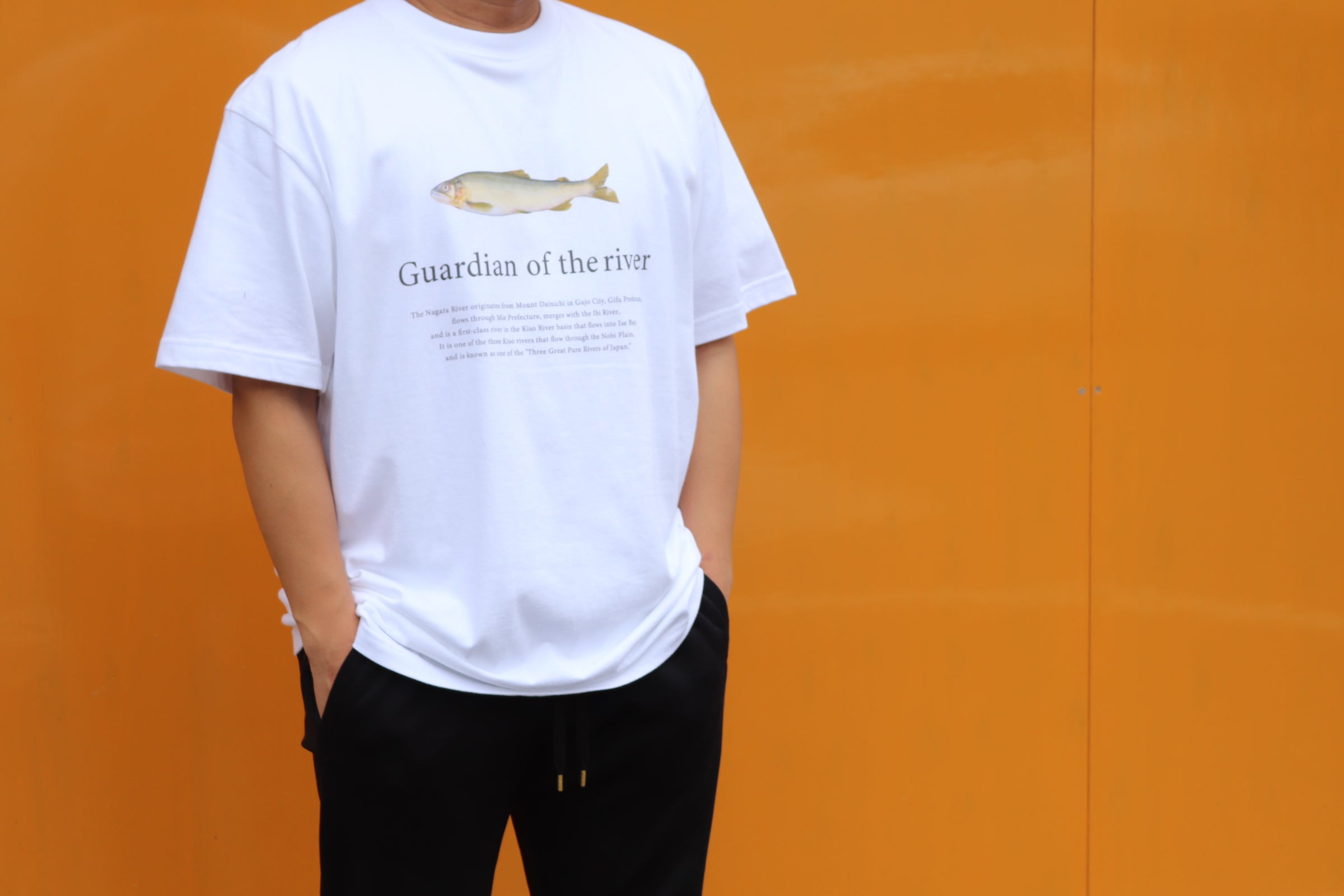 岐阜のきれいな川に住む魚たちを胸に！かわさかなTEE【73491