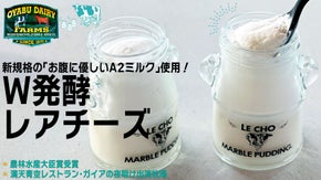 オオヤブデイリーファームが6年がかりで生み出したA2ミルクのレアチーズケーキ