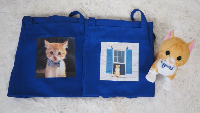 SNS総フォロワー3.8万 猫の【ツンデレ男ルナさん】がぬいぐるみになっ