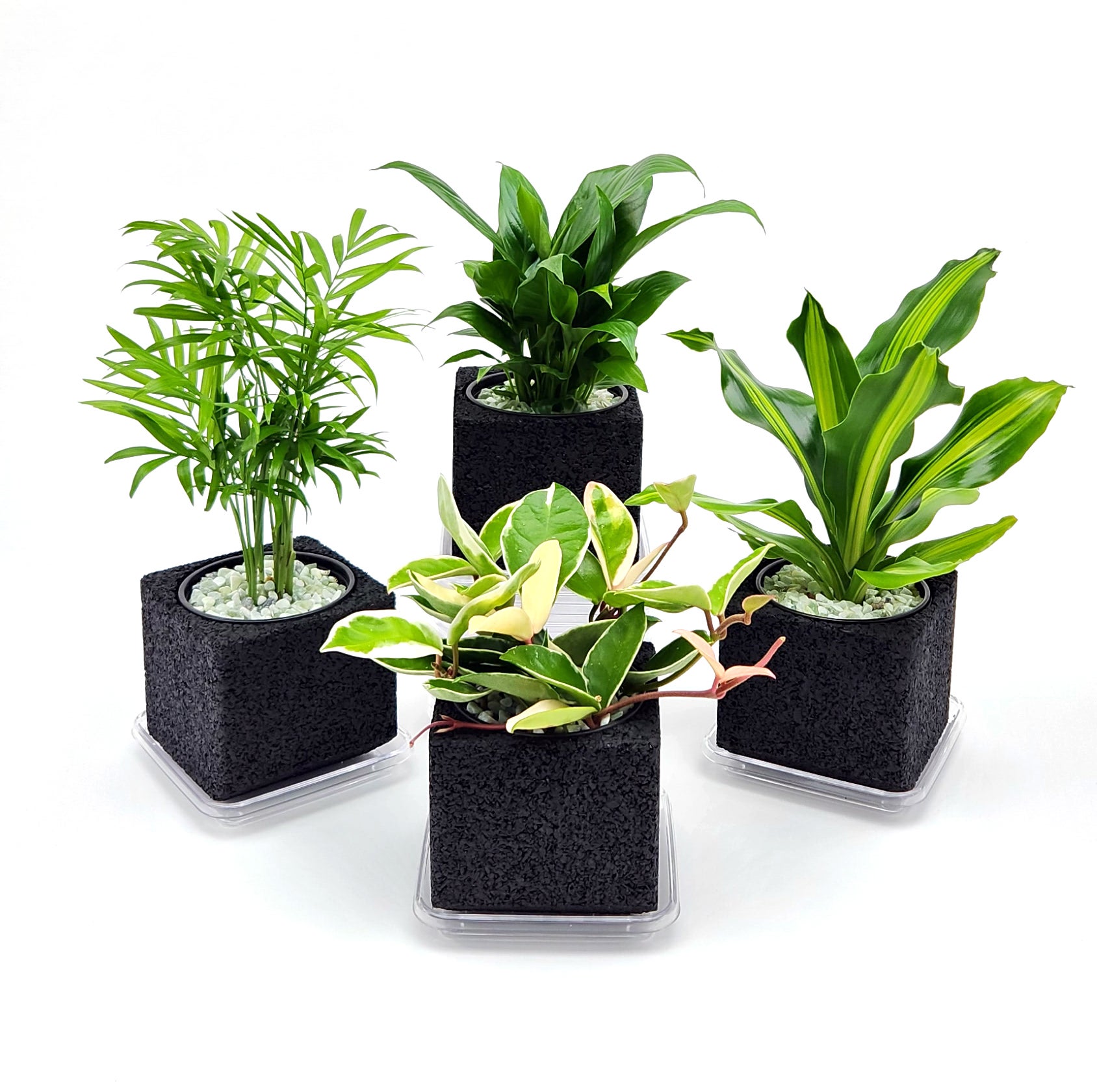 炭×植物の力で快適な空間に！消臭機能付き植木鉢カバーで手軽に
