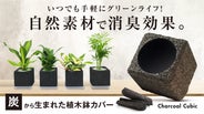 炭×植物の力で快適な空間に！消臭機能付き植木鉢カバーで手軽に