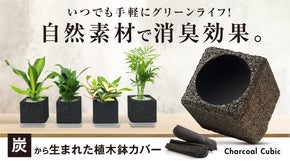炭&times;植物の力で快適な空間に！消臭機能付き植木鉢カバーで手軽にグリーンライフ！