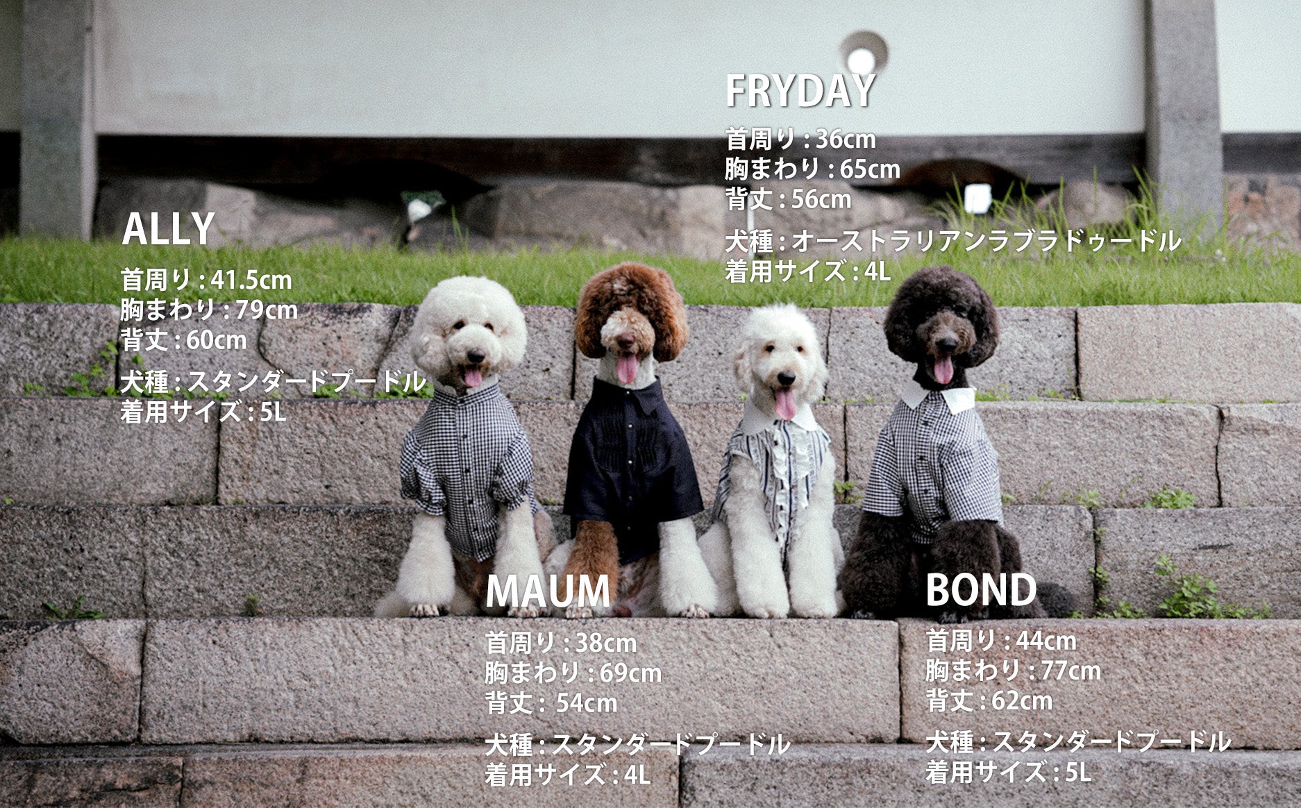 大型犬にも上質なファッションを。こだわりドッグウェアで、日常を特別