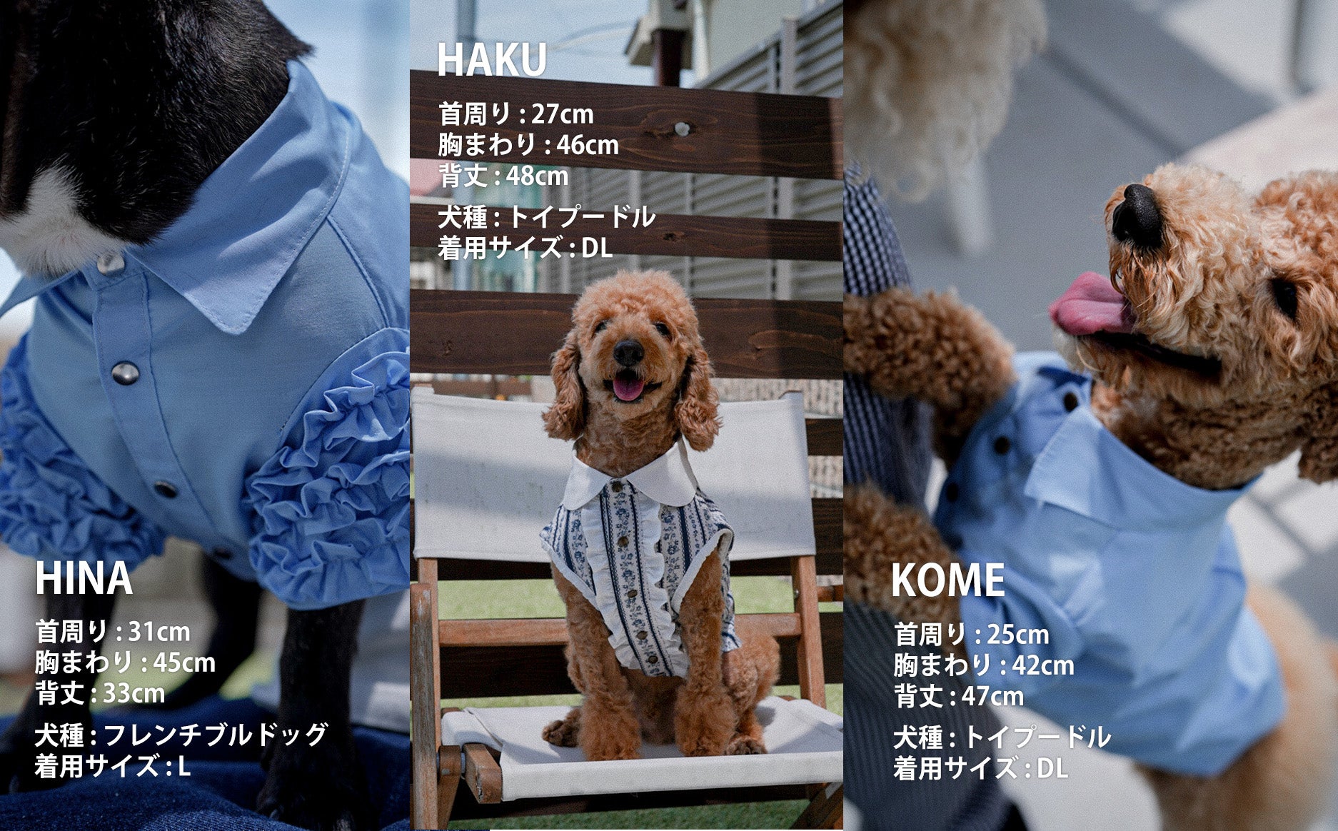 大型犬にも上質なファッションを。こだわりドッグウェアで、日常を特別