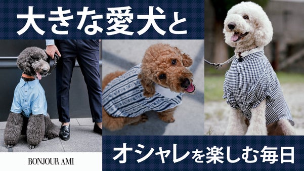 大型犬にも上質なファッションを。こだわりドッグウェアで、日常を特別なひと時に。