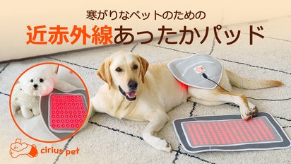 近赤外線×温熱パッド】寒い時期でもこれがあれば愛するペットも