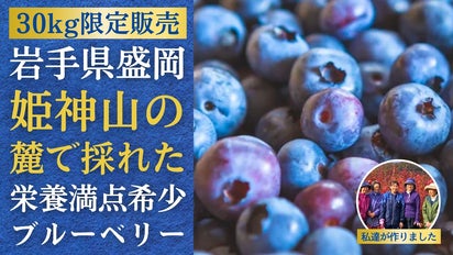 岩手県産】数量限定希少ブルーベリー、親子3代で作る美味しい果実と無