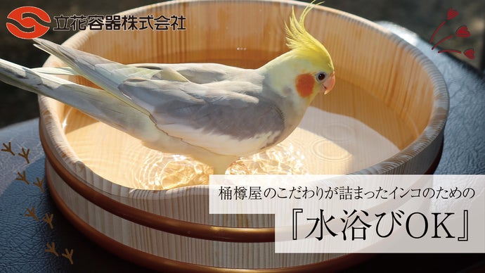 インコちゃんと飼い主さんに笑顔を！!創業109年の桶屋が手掛ける水浴び