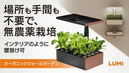 壁掛けで場所を取らずに家庭菜園】月2回の水やりで元気に育つ無農薬水 