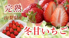 年間4000人以上が訪れる人気のいちご館から、朝採れ完熟いちごをランダムにお届け