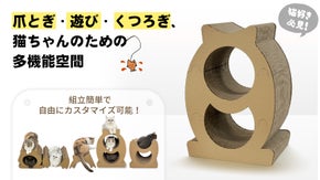 猫の夢の国へようこそ！猫と楽しむ【魚形キャットハウス】：爪とぎも隠れ家もおまかせ