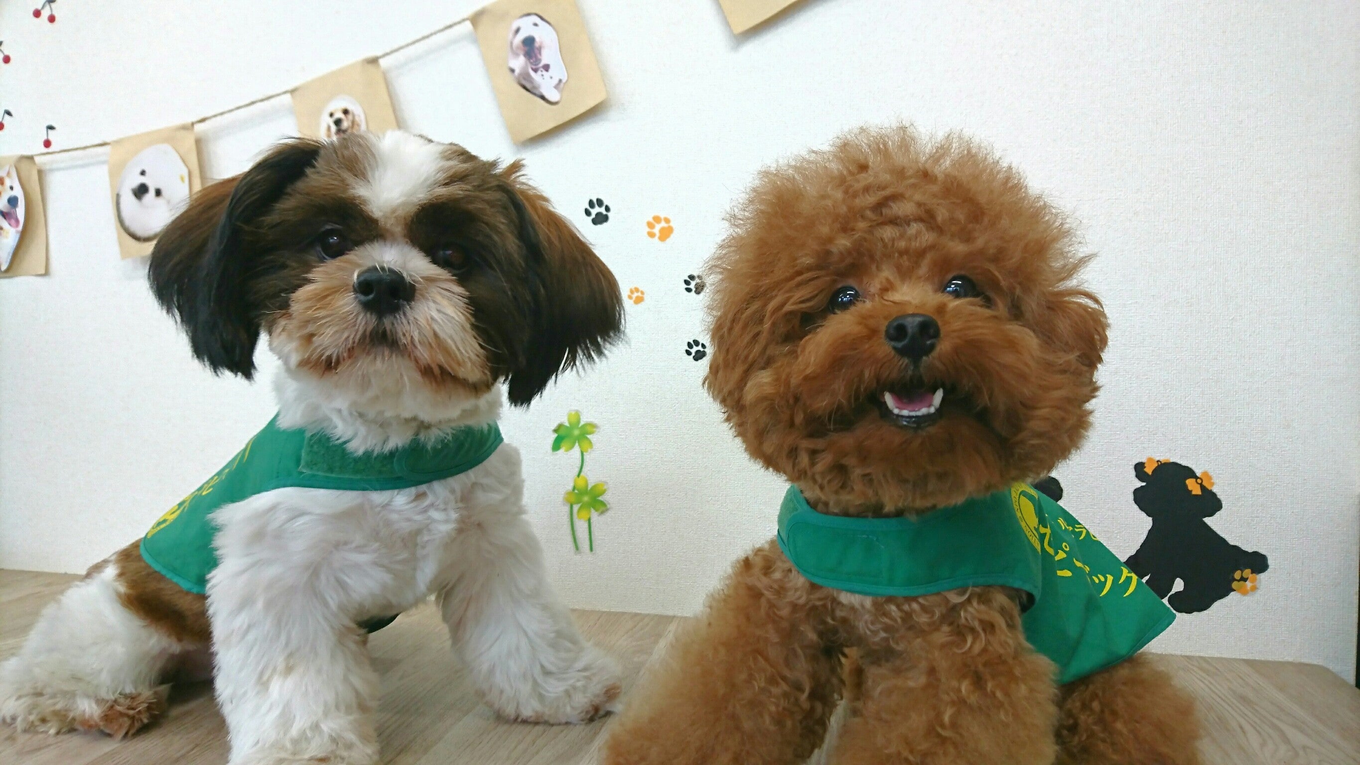セラピー犬の育成を応援！】育成施設に業務用エアコン設置～ご支援の