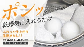 100％プレミアムウール使用！既存商品の不満を全て解決【ウールドライヤーボール】