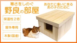 保温性抜群で暖かい。野良猫たちを寒さから守る「屋外用の猫ハウス