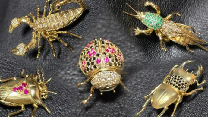 世界一のニューヨークで話題沸騰,黄金の【昆虫型アート