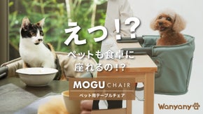 こんな商品待ってた！一緒に食卓を囲めるペットチェアで新しいライフスタイルを