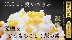 【糖度20度】一粒一粒が宝石！極甘とうもろこし奥いちきみの旨みを凝縮したご飯の素