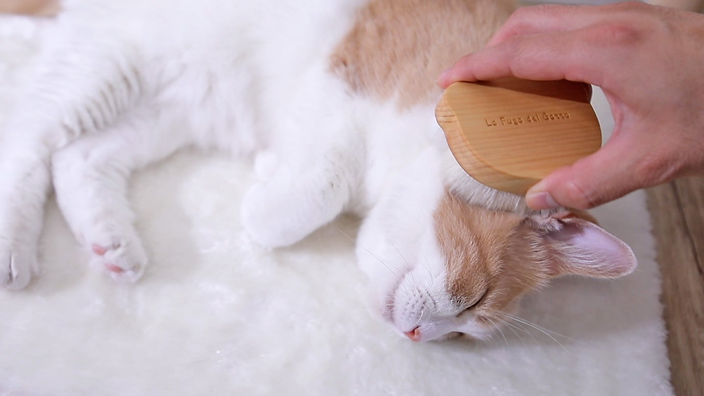 ネコラブさん専用 000000000532_US18yC0.jpg