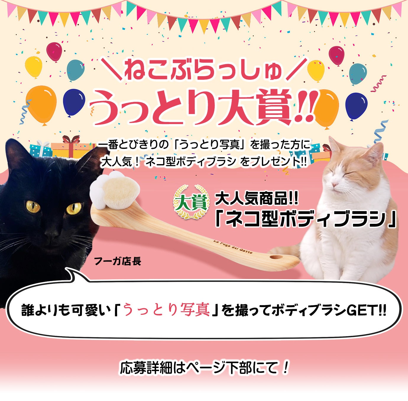 うっとり気持ちいい♪】 癒され猫ブラシ ねこぶらっしゅ｜マクアケ