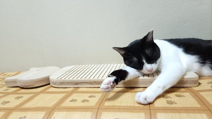 しっぽがキュート！ph6.4の杉からできた猫肌想い・高耐久猫型爪とぎ