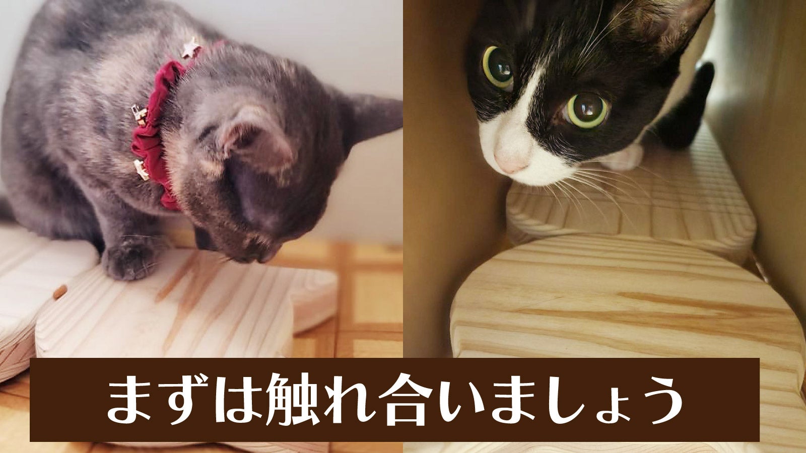 しっぽがキュート！ph6.4の杉からできた猫肌想い・高耐久猫型爪とぎ