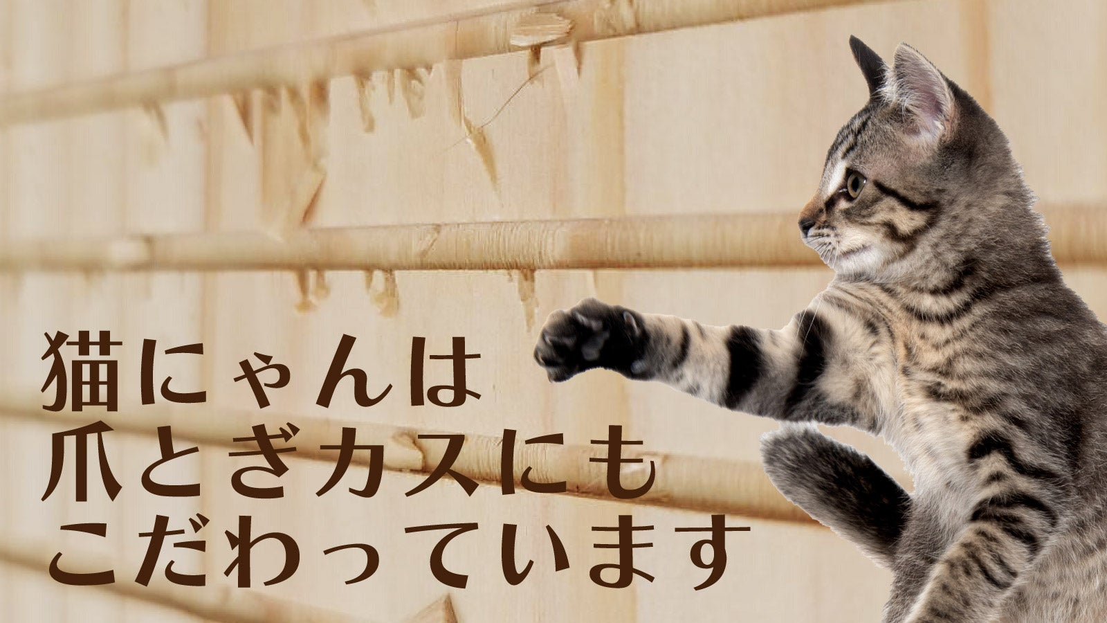 しっぽがキュート！ph6.4の杉からできた猫肌想い・高耐久猫型爪とぎ
