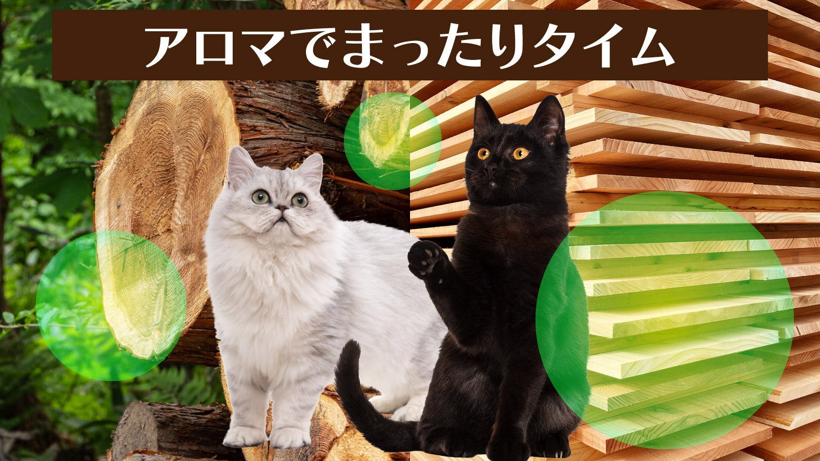 しっぽがキュート！ph6.4の杉からできた猫肌想い・高耐久猫型爪とぎ