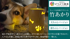 お盆に迷わず帰ってきて欲しい！竹の灯籠「竹あかり」を犬猫の肉球デザインに！