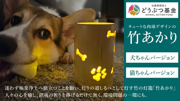 お盆に迷わず帰ってきて欲しい！竹の灯籠「竹あかり」を犬猫の肉球デザインに！