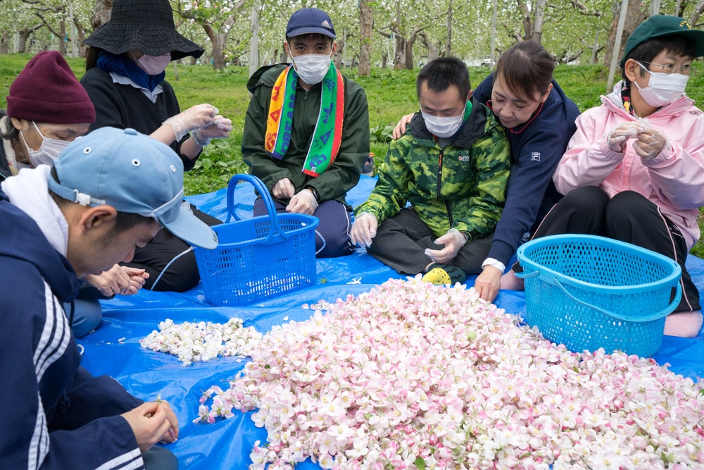 りんごの花びらがゆらゆら、ふわふわ。優しい甘さがきらめく「りんご