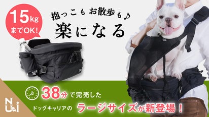 獣医さんおすすめ】抱っこした瞬間から「軽さ」に感動！！中型犬対応 