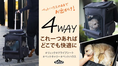 4Wayペットキャリー！ペットハウスのままお出かけ。これ一つで外出が 
