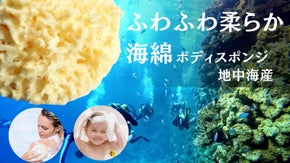 【地中海ギリシャ産】コラーゲン、アミノ酸、ミネラルたっぷり天然海綿ボディスポンジ