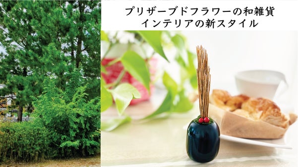 プリザーブドフラワーの和雑貨 松寿＆金松寿