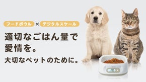ぴったり計量、健康管理もお任せ！ペットのためのごはんスケール「イークイップリ」