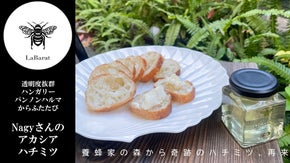 Nagyさんのアカシアハチミツ、透明さ際立つボトルで新発売。きれいな味わいをぜひ