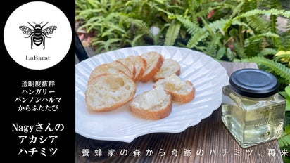 Nagyさんのアカシアハチミツ、透明さ際立つボトルで新発売。きれいな