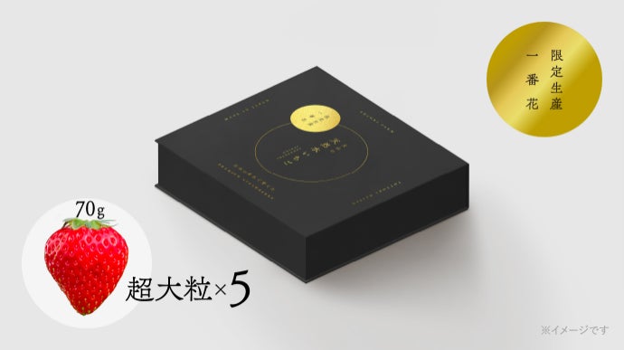 驚きの糖度！連日完売の朝採れいちごを全国へ！大山の天然水が育む絶品