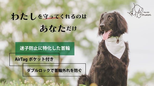 愛犬を守る首輪がほしかった！迷子対策に特化したバンダナ首輪