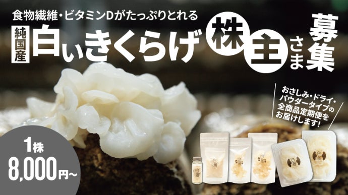 2025年の新物】 白いきくらげ 株主制度｜マクアケ - アタラシイものや