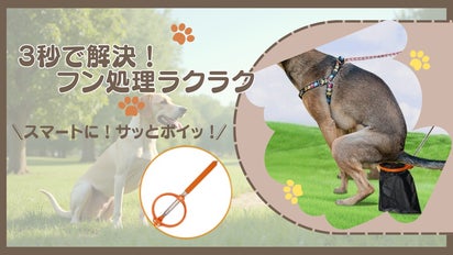 さっと使ってサッと捨てる！清潔ラクラク、ワンちゃんのうんち取り器  